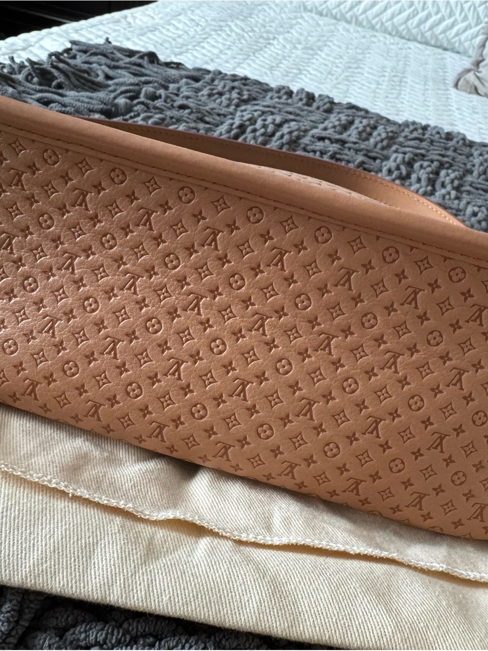 NWT Louis Vuitton Diane Hazelnut Mini Monogram  Leather Shoulder/Crossbody Bag - Picture 8 of 13